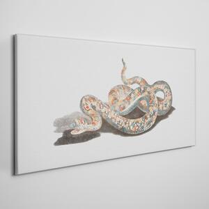 Obraz na plátně Obraz na plátně Had
