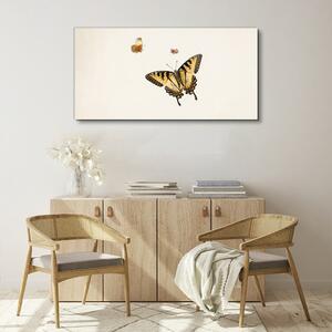 Obraz na plátně Obraz na plátně Moderní bug hmyz motýl