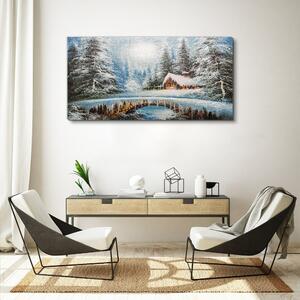Obraz na plátně Obraz na plátně Zimní sníh lesní příroda