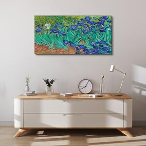Obraz na plátně Obraz na plátně Van Gogh Irises