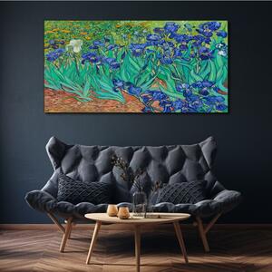 Obraz na plátně Obraz na plátně Van Gogh Irises