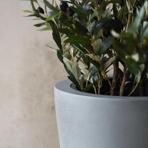 Květináč RONDO CLASSICO s umělým olivovníkem OLIVEIRA, sklolaminát, výška 80 cm, beton-design šedý