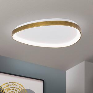 ORION Stropní svítidlo LED Charlie, Ø 65 cm, opálově bílá, barva staromosazná, Bronz / starožitná mosaz, Obývací pokoj / jídelna, Plast, Moderní