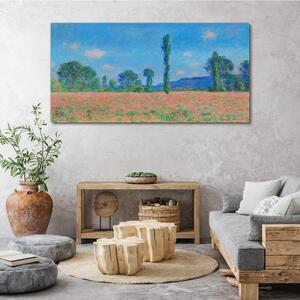 Obraz na plátně Obraz na plátně Louky Monetová krajina