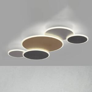 Q-Smart-Home Paul Neuhaus Q-Piato LED stropní světlo pět zdrojů, stmívatelný, Vícebarevná, Obývací pokoj / jídelna, kov, Moderní, Stropní svítidlo
