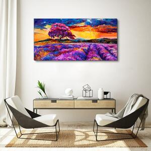 Obraz na plátně Obraz na plátně Západ slunce stromová louka