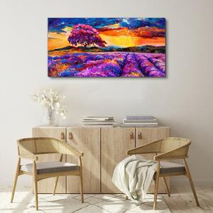 Obraz na plátně Obraz na plátně Západ slunce stromová louka