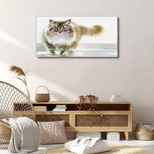 Obraz na plátně Obraz na plátně Moderní zvířecí kočka