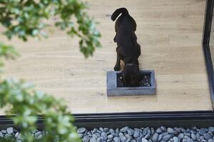 Miska pro psy MiaCara Trogolo tmavě šedá 44 x 22 x 10 cm