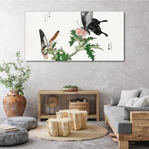 Obraz na plátně Obraz na plátně Pobočka motýlů květin