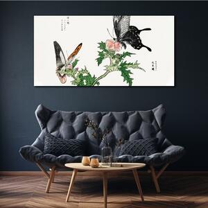 Obraz na plátně Obraz na plátně Pobočka motýlů květin