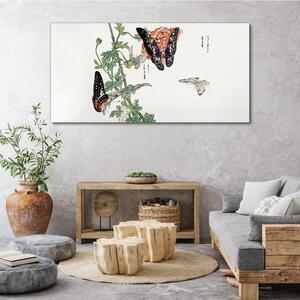 Obraz na plátně Obraz na plátně Větve hmyzu