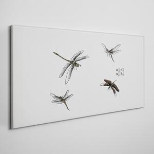 Obraz na plátně Obraz na plátně Hmyz z červů