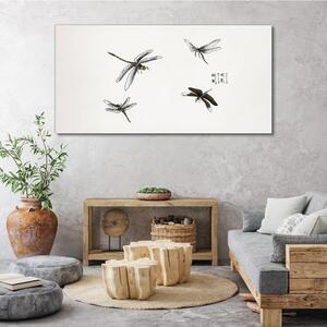 Obraz na plátně Obraz na plátně Hmyz z červů