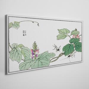 Obraz na plátně Obraz na plátně Asijské hmyze listy