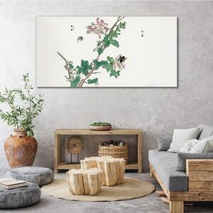 Obraz na plátně Obraz na plátně Asijské hmyze listy