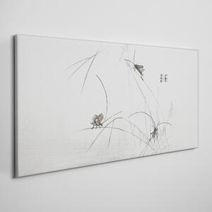 Obraz na plátně Obraz na plátně Moderní hmyz