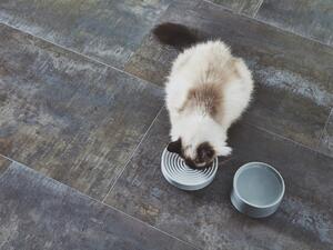 Miska pro kočky MiaCara Fresco 6 cm šedá
