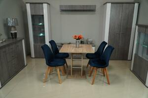 Euronábytek Moderní jídelní židle čalouněná RIO tmavý granát