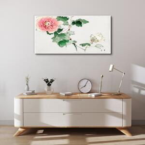 Obraz na plátně Obraz na plátně Květinové listy květin