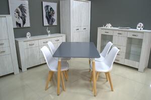 Euronábytek Moderní jídelní židle čalouněná VEGAS bílá