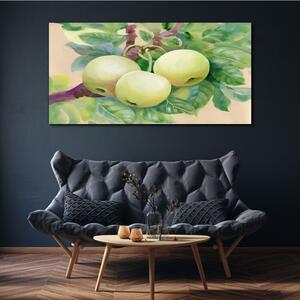 Obraz na plátně Obraz na plátně Ovoce jablečný větev listy