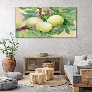 Obraz na plátně Obraz na plátně Ovoce jablečný větev listy