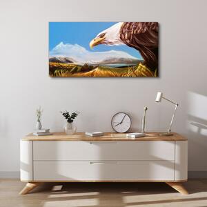 Obraz na plátně Obraz na plátně Zvířecí pták orel obloha