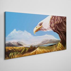 Obraz na plátně Obraz na plátně Zvířecí pták orel obloha