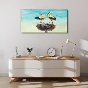 Obraz na plátně Obraz na plátně Zvířata Birds Swans