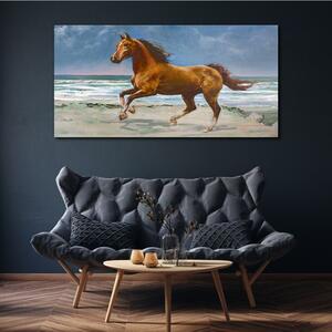 Obraz na plátně Obraz na plátně Pláž pobřeží koně moře vlny