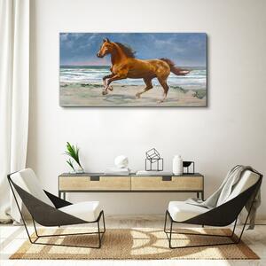 Obraz na plátně Obraz na plátně Pláž pobřeží koně moře vlny