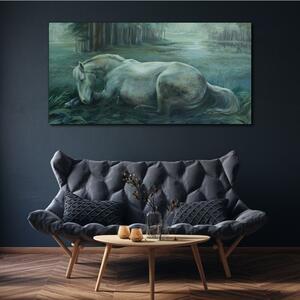 Obraz na plátně Obraz na plátně Lesní koně volně žijících živočichů
