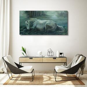 Obraz na plátně Obraz na plátně Lesní koně volně žijících živočichů
