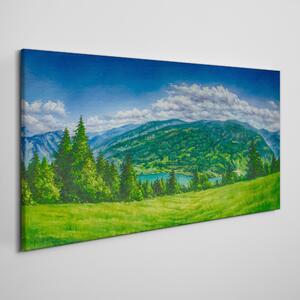 Obraz na plátně Obraz na plátně Lesní krajina mraky