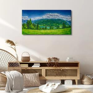Obraz na plátně Obraz na plátně Lesní krajina mraky