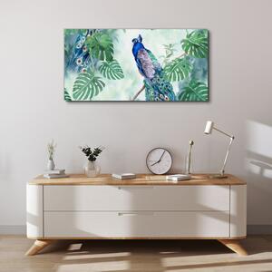 Obraz na plátně Obraz na plátně Větev listy pták páv