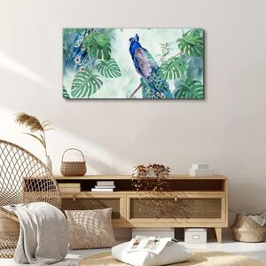 Obraz na plátně Obraz na plátně Větev listy pták páv