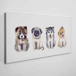 Obraz na plátně Obraz na plátně Abstrakce zvířat psů