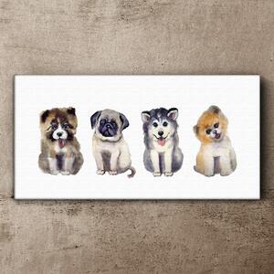 Obraz na plátně Obraz na plátně Abstrakce zvířat psů