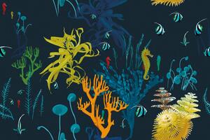 Tapeta krásy podmořského světa
