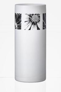 Crystalex - Bohemia Crystal Váza White & Flower Ornament 260 mm, 1 ks