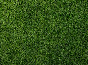 Umělá tráva ORBIS NEW / SOPHIA BARVA: Zelená, ŠÍŘKA: 2 m