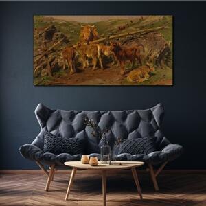 Obraz na plátně Obraz na plátně Krajina krávy zvířat