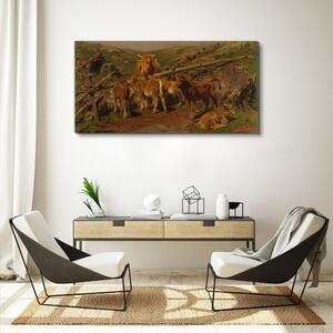 Obraz na plátně Obraz na plátně Krajina krávy zvířat