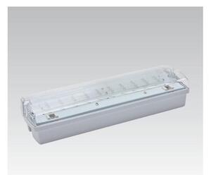 LED Nouzové svítidlo CARLA LED/5,51W/230V dočasné 1h/350 mAh IP65