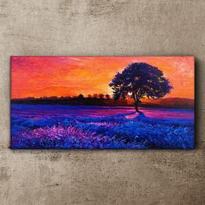 Obraz na plátně Obraz na plátně Sunset strom květiny