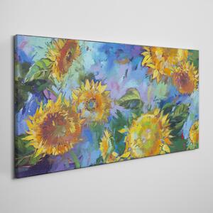 Obraz na plátně Obraz na plátně Květiny slunečnic