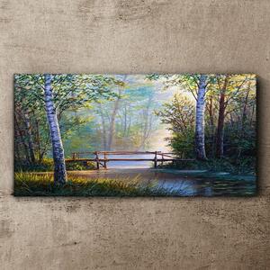 Obraz na plátně Obraz na plátně Lesní říční most příroda