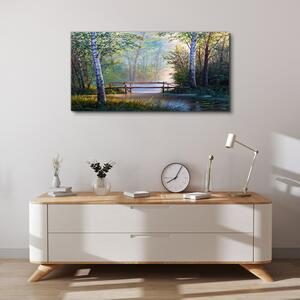 Obraz na plátně Obraz na plátně Lesní říční most příroda